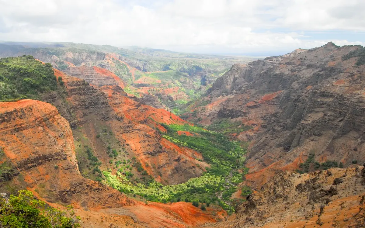 The red and green walls of Waimea Canyon seen from a lookout on the rim