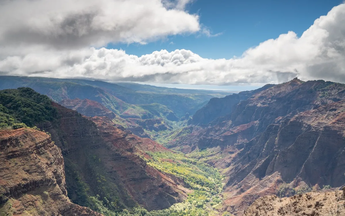 Waimea Canyon from a rim lookout, cloud sitting over the ridges behind it