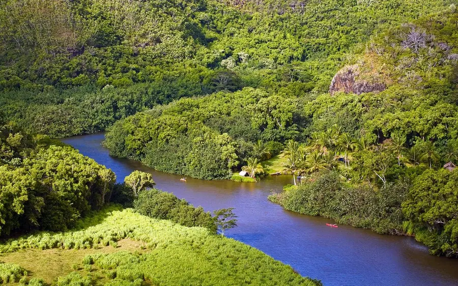 A river winding through green forest and palms on Kauai